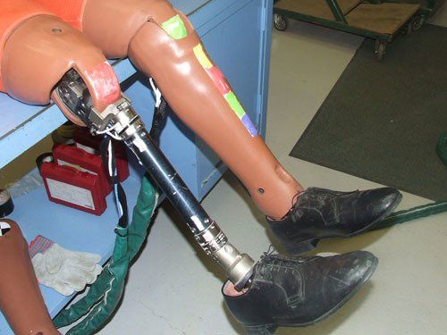 Hybrid III lower leg