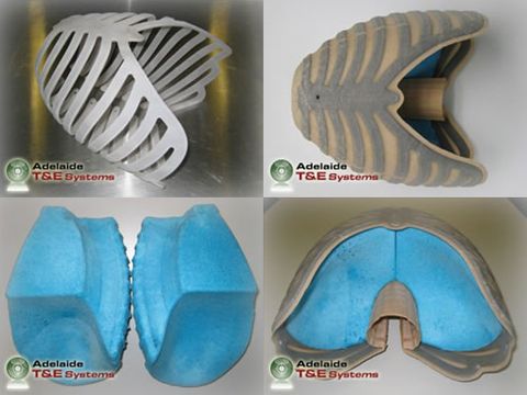 Thoracic surrogate, lungs